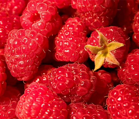 Raspberry