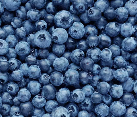 Blueberry